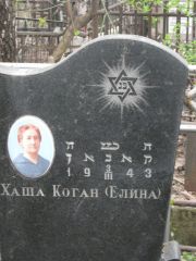 Коган-Елина Хаша , Москва, Востряковское кладбище