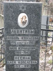 Левитин Яков Израилевич, Москва, Востряковское кладбище