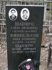 Шапиро Адель Яковлевна, Москва, Востряковское кладбище