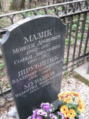 Мазик Моисей Аронович, Москва, Востряковское кладбище