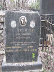 Левина Софья Мироновна, Москва, Востряковское кладбище