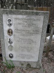 Гонопольская Рахиль Григорьевна, Москва, Востряковское кладбище