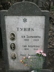 Туник Лея Залмановна, Москва, Востряковское кладбище