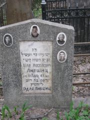 Лившиц Шая Иоселевич, Москва, Востряковское кладбище