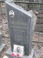 Яблочник Яков Вениаминович, Москва, Востряковское кладбище