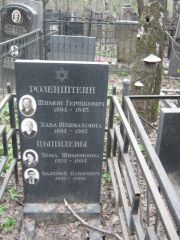 Розенштейн Шимон Гершкович, Москва, Востряковское кладбище