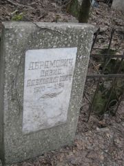 Абрамович Давид Александрович, Москва, Востряковское кладбище