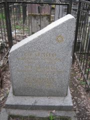 Бейлин Фридман Беркович, Москва, Востряковское кладбище