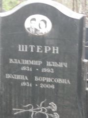 Штерн Владимир Ильич, Москва, Востряковское кладбище
