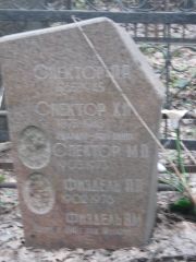 Спектор П. , Москва, Востряковское кладбище