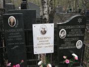 Ровинская Веля Абрамовна, Москва, Востряковское кладбище