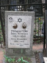 Гольдштейн Элька Иосифовна, Москва, Востряковское кладбище