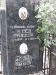 Шварц Яков Ильич, Москва, Востряковское кладбище