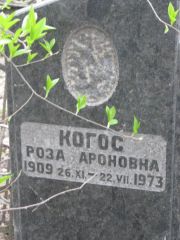 Когос Роза Ароновна, Москва, Востряковское кладбище