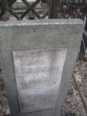 Зинькова Сарра Яковлевна, Москва, Востряковское кладбище
