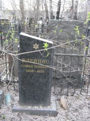 Блейнис Софья Ильевна, Москва, Востряковское кладбище