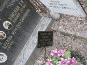 Шайкевич Виктор Миронович, Москва, Востряковское кладбище