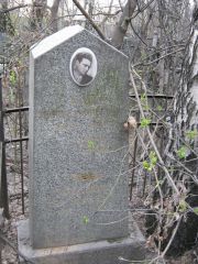 Бренман Вера Моисеевна, Москва, Востряковское кладбище