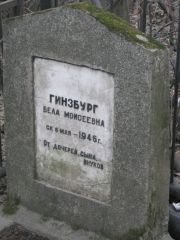 Гинзбург Бела Моисеевна, Москва, Востряковское кладбище