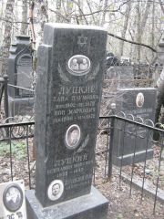 Луцкая Хана Наумовна, Москва, Востряковское кладбище