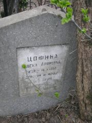 Цофина Ревека Ароновна, Москва, Востряковское кладбище