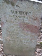 Рапопорт Илья Хацкелевич, Москва, Востряковское кладбище