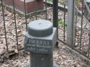 Рискинд Савелий Михайлович, Москва, Востряковское кладбище
