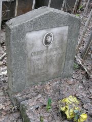 Скибитянский Абрам Борисович, Москва, Востряковское кладбище