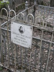 Скибитянская Полина Яковлевна, Москва, Востряковское кладбище