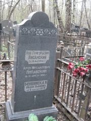 Липавский Арон Михайлович, Москва, Востряковское кладбище