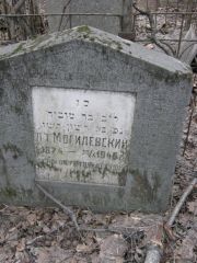 Могилевский Л. Т., Москва, Востряковское кладбище