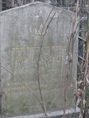 Розин Ш. И., Москва, Востряковское кладбище
