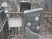 Блехер Моисей Срулевич, Москва, Востряковское кладбище