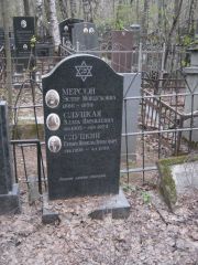 Мерсон Эстер Мордуховна, Москва, Востряковское кладбище
