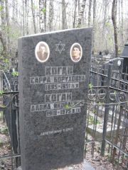 Коган Давид Яковлевич, Москва, Востряковское кладбище