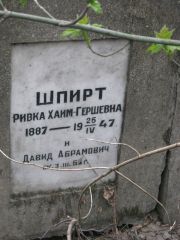 Шпирт Ривка Хаим-Гершевна, Москва, Востряковское кладбище