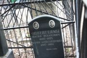 Оппенгейм Иосиф Исаакович, Москва, Востряковское кладбище