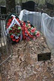 Розенфельд Циля Давидовна, Москва, Востряковское кладбище
