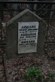 Люблина Ида Яковлевна, Москва, Востряковское кладбище