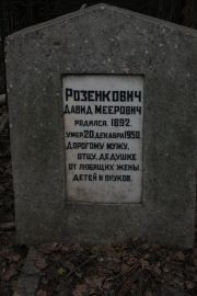 Розенкович Давид Меерович, Москва, Востряковское кладбище
