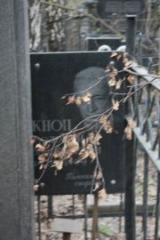 Кноп Соломон Хаскелевич, Москва, Востряковское кладбище