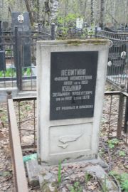 Левитина Фаина Моисеевна, Москва, Востряковское кладбище