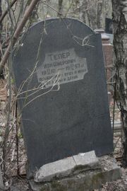 Тепер Ион Шмерович, Москва, Востряковское кладбище