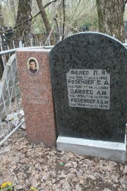Розеноер С. А., Москва, Востряковское кладбище