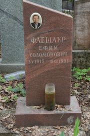 Флешер Ефим Соломонович, Москва, Востряковское кладбище