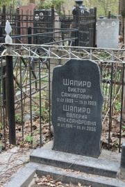 Шапиро Виктор Самуилович, Москва, Востряковское кладбище