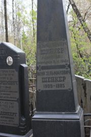 Шенкер Зальман Беневич, Москва, Востряковское кладбище