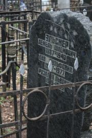 Эльснер Лемель Шлемович, Москва, Востряковское кладбище