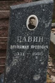 Равин Вениамин Аронович, Москва, Востряковское кладбище