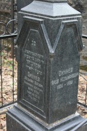 Окунев Кельман Шаевич, Москва, Востряковское кладбище